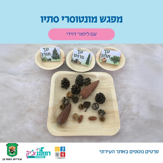 תמונת מופע: מפגש מונטוסרי סתיו עם לימור דוידי
