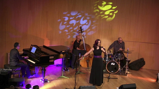 תמונת מופע: שבת תרבות - ClassiJazz Crossover